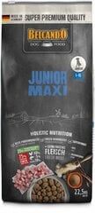 Belcando Junior Maxi lielu un milzu šķirņu suņiem no 4 līdz 18 mēnešiem 22,5 kg cena un informācija | Sausā barība suņiem | 220.lv