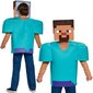 Karnevāla kostīms Minecraft Steve cena un informācija | Karnevāla kostīmi, maskas un parūkas | 220.lv