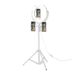 Selfie Holder with Ring LED Light (white) цена и информация | Осветительное оборудование для фотосъемок | 220.lv