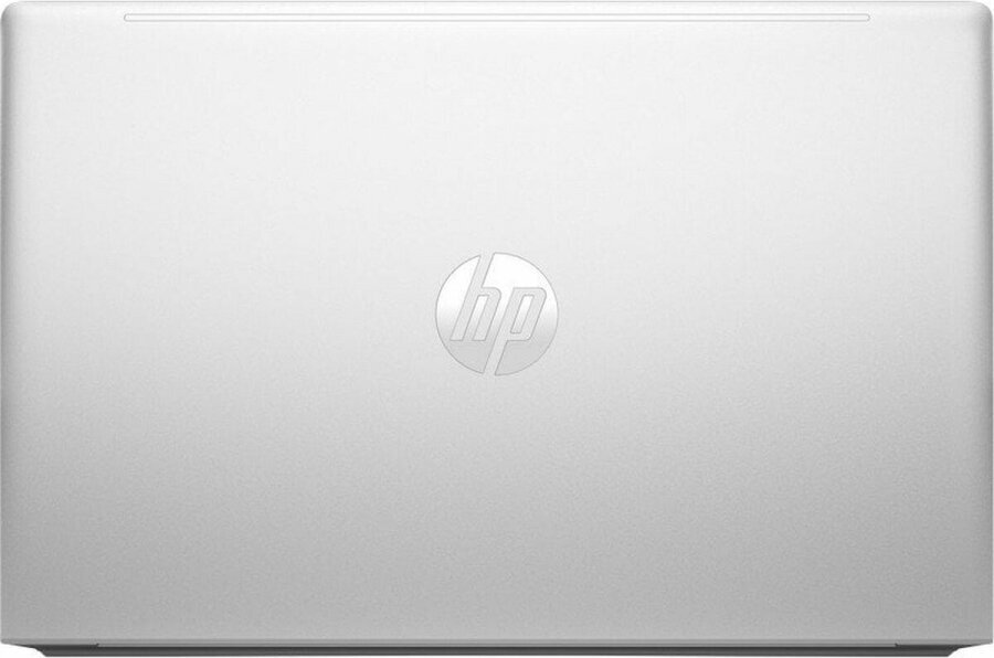 HP ProBook 455 G10 cena un informācija | Portatīvie datori | 220.lv