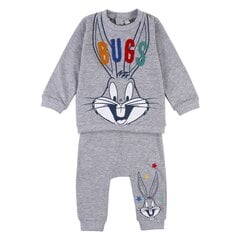 Детский спортивный костюм Looney Tunes, серый цена и информация | Комплекты одежды для новорожденных | 220.lv