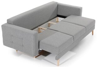 Dīvāns Asgard, 235x95x86 cm, pelēks cena un informācija | Dīvāni | 220.lv