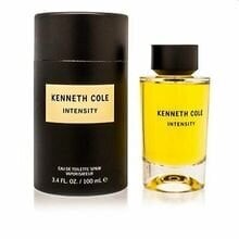 Мужские духи Kenneth Cole Intensity EDT, 100 мл цена и информация | Мужские духи | 220.lv