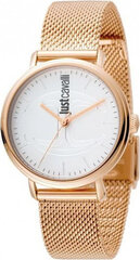 Женские часы Just Cavalli JC1L012M0085 цена и информация | Женские часы | 220.lv