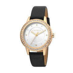 Sieviešu pulkstenis Esprit ES1L163L0045 cena un informācija | Sieviešu pulksteņi | 220.lv