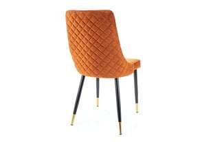 2-u ēdamistabas krēslu komplekts Signal Piano Velvet, oranžs/melns cena un informācija | Virtuves un ēdamistabas krēsli | 220.lv