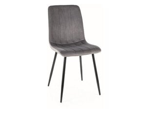Набор из 4-х обеденных стульев Signal Alan Velvet, серый/черный цвет цена и информация | Стулья для кухни и столовой | 220.lv