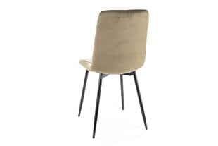 Набор из 4 обеденных стульев Signal Tom Velvet, зеленый/черный цвет цена и информация | Стулья для кухни и столовой | 220.lv