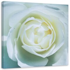Glezniecība uz audekla, Baltās rozes centrs цена и информация | Картины | 220.lv