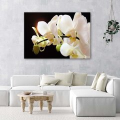 Glezniecība uz audekla, Orhidejas tuvplānā cena un informācija | Gleznas | 220.lv