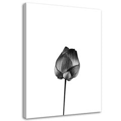 Glezniecība uz audekla, Zieds ar kātu цена и информация | Картины | 220.lv