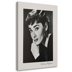 Glezniecība uz audekla, Audrey Hepburn - Portrets sēpijā cena un informācija | Gleznas | 220.lv