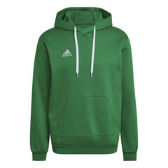 Adidas Джемпер Ent22 Hoody Green HI2141 цена и информация | Мужские толстовки | 220.lv