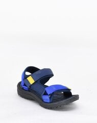 Сандалии для мальчиков, Fla Europe NV 37986984.35 цена и информация | Детские сандали | 220.lv