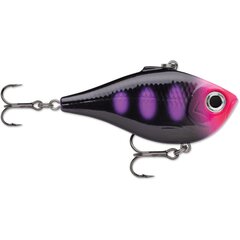 Vobleris Rapala Rippin Rap 5cm BLKL цена и информация | Воблеры, приманки, блесны | 220.lv