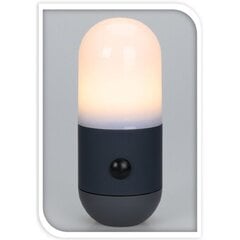 Kempinga lampa 2in1 LED, melna цена и информация | Фонари и прожекторы | 220.lv