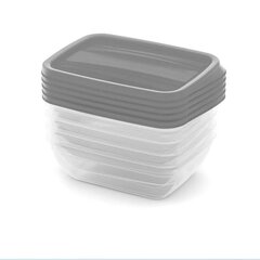 Набор контейнеров для пищевых продуктов 5x0,5 л Vedo прозрачный серый цена и информация | Посуда для хранения еды | 220.lv