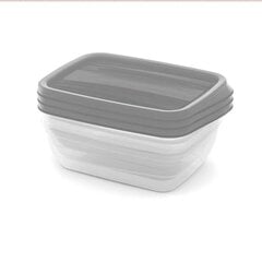 Набор пищевых контейнеров прямоугольных 3х1 л Vedo прозрачный серый цена и информация | Посуда для хранения еды | 220.lv