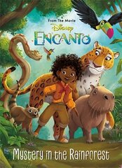 Disney Encanto: Mystery in the Rainforest cena un informācija | Grāmatas mazuļiem | 220.lv