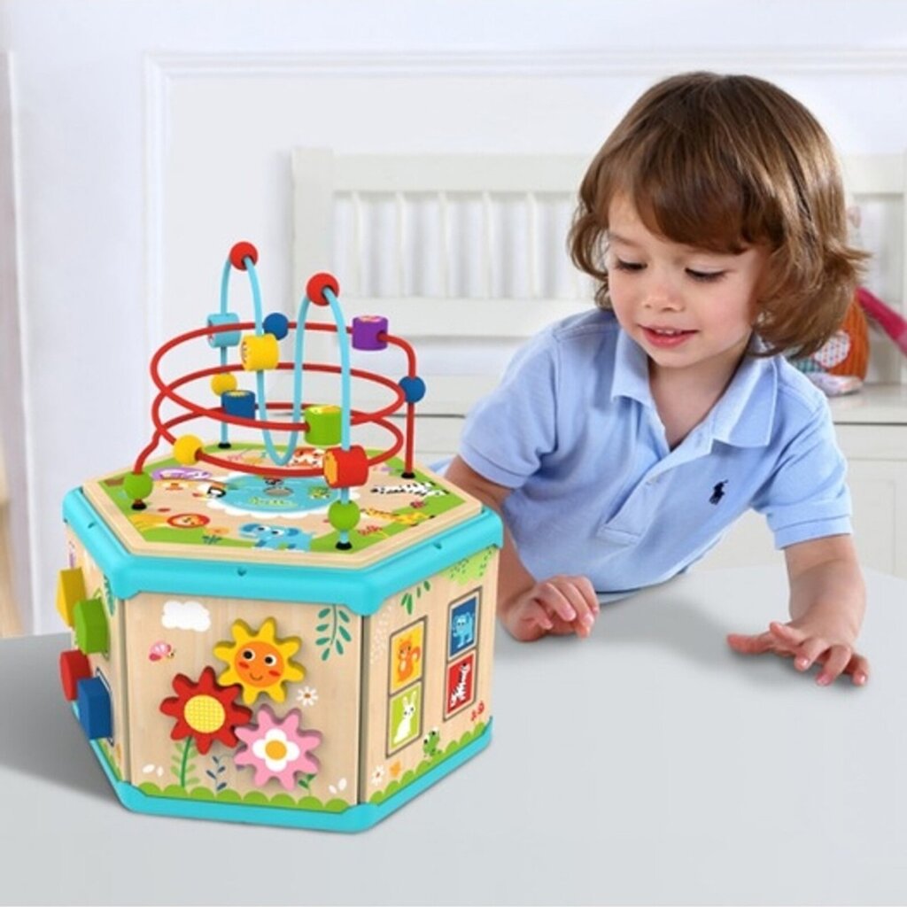 TOOKY TOY Montessori interaktīvā koka sešstūra atveramā kaste цена и информация | Attīstošās rotaļlietas | 220.lv