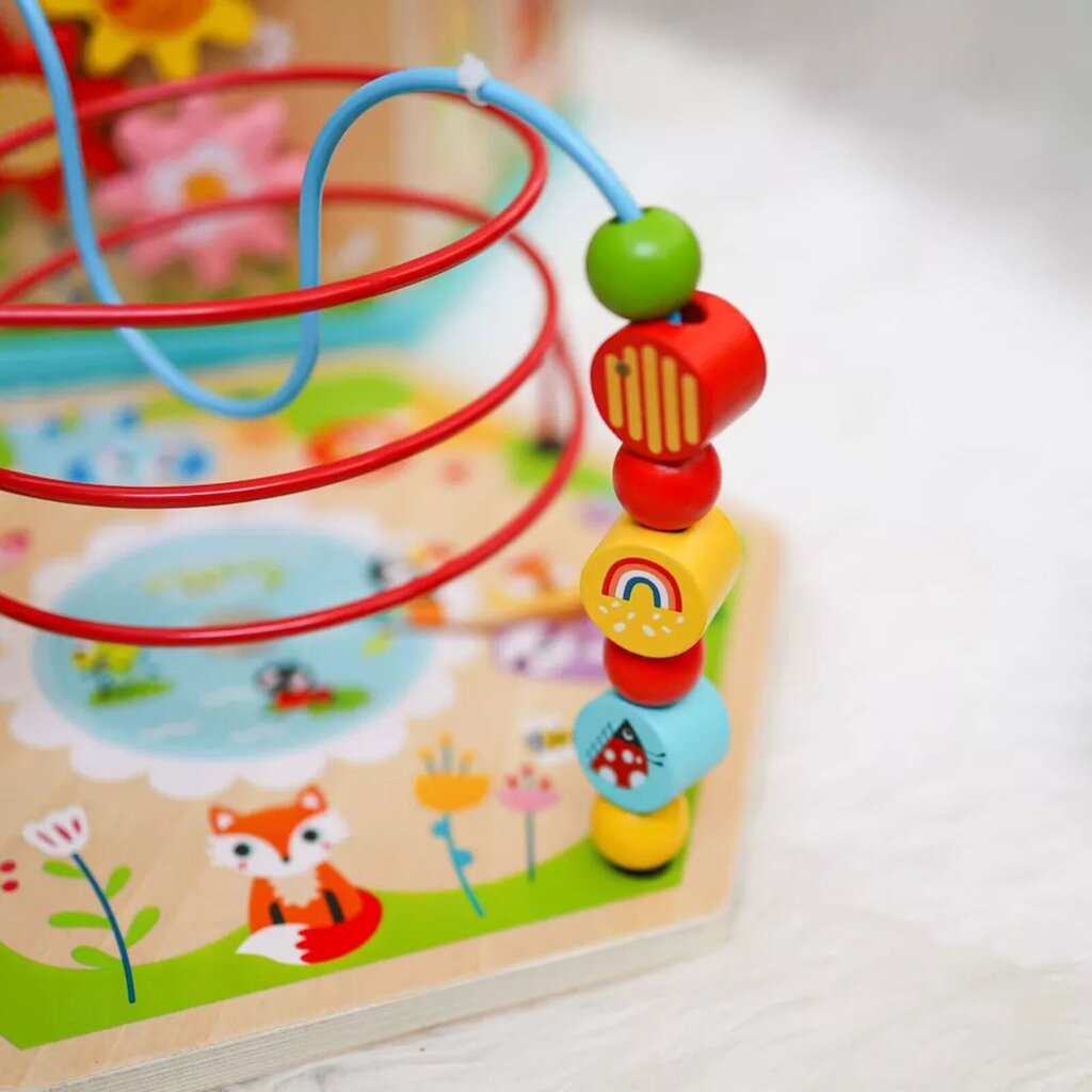 TOOKY TOY Montessori interaktīvā koka sešstūra atveramā kaste цена и информация | Attīstošās rotaļlietas | 220.lv