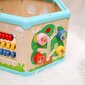 TOOKY TOY Montessori interaktīvā koka sešstūra atveramā kaste цена и информация | Attīstošās rotaļlietas | 220.lv