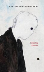 Chasing Homer cena un informācija | Vēstures grāmatas | 220.lv