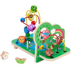 TOOKY TOY koka motorcilpas meža labirints цена и информация | Игрушки для малышей | 220.lv