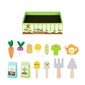 Koka dārzeņu komplekts Tooky Toy Montessori цена и информация | Rotaļlietas meitenēm | 220.lv