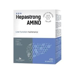 Uztura bagātinātājs Hepastrong Amino, 30kapsulas cena un informācija | Vitamīni, preparāti, uztura bagātinātāji labsajūtai | 220.lv