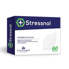 Stressnol N60 цена и информация | Витамины, пищевые добавки, препараты для хорошего самочувствия | 220.lv