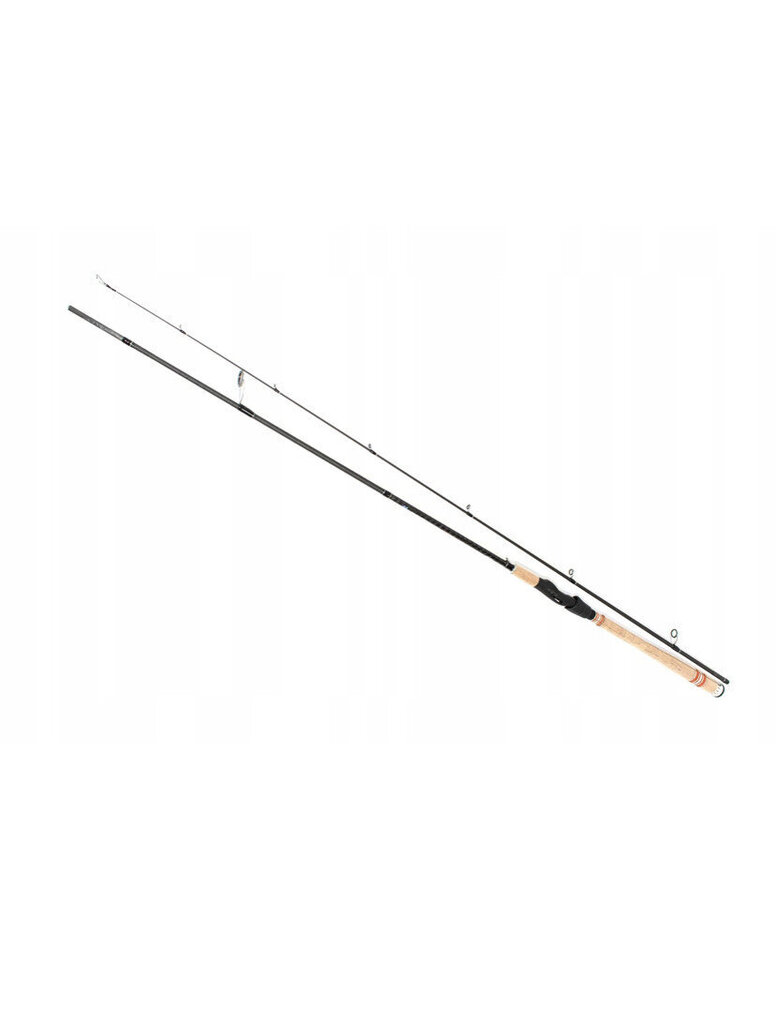 Spinings Amberjack 240 cm, 10x40 g цена и информация | Makšķeres, spiningi, makšķeru turētāji un statīvi | 220.lv