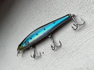 Vobleris ZipBaits 120 mm 15 g цена и информация | Воблеры, приманки, блесны | 220.lv