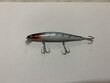 Vobleris ZipBaits 120 mm 15 g цена и информация | Vobleri, ēsmas, vizuļi | 220.lv