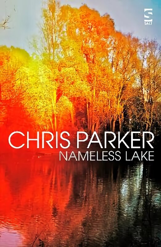 Nameless Lake cena un informācija | Fantāzija, fantastikas grāmatas | 220.lv