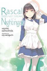 Rascal Does Not Dream, Vol. 11 (light novel) цена и информация | Фантастика, фэнтези | 220.lv