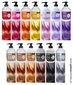 Barojoša krāsu maska Kepro Kay Pro Purple, 300 ml cena un informācija | Matu krāsas | 220.lv
