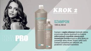 Šampūns ar ēteriskajām eļļām KayPro Purage Pre-Shampoo Detox, 150 ml цена и информация | Шампуни | 220.lv