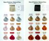 Matu krāsa KayPro Bleach & Color Peach, 70 g cena un informācija | Matu krāsas | 220.lv