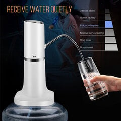 Электрический водяной насос Rhemity цена и информация | Аппараты для воды | 220.lv