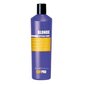 Šampūns gaišiem un krāsotiem matiem KayPro Brightening Blonde, 350 ml cena un informācija | Šampūni | 220.lv