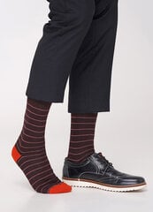 Хлопковые мужские носки MS3C/Sl-403 brown (коричневый) Giulia цена и информация | Мужские носки | 220.lv
