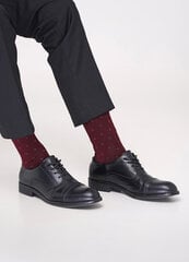 Носки длинные мужские MS3C/Sl-301 Giulia цена и информация | Мужские носки | 220.lv