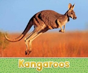 Kangaroos цена и информация | Книги для подростков  | 220.lv