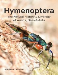 Hymenoptera: The Natural History and Diversity of Wasps, Bees and Ants цена и информация | Книги о питании и здоровом образе жизни | 220.lv