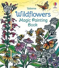 Wildflowers Magic Painting Book cena un informācija | Grāmatas mazuļiem | 220.lv