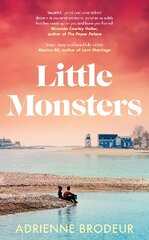 Little Monsters: PERFECT FOR FANS OF FLEISHMAN IS IN TROUBLE AND THE PAPER PALACE цена и информация | Фантастика, фэнтези | 220.lv