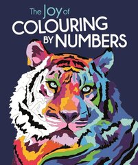 Joy of Colouring by Numbers цена и информация | Книги о питании и здоровом образе жизни | 220.lv