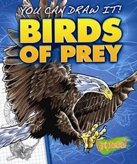 Birds of Prey цена и информация | Книги для подростков  | 220.lv