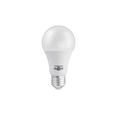 LED spuldze 12W E27 A60 3000K 1055lm THORGEON cena un informācija | Spuldzes | 220.lv